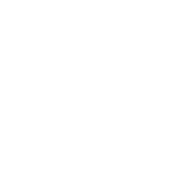 AS_3 Architectural Reporting icon